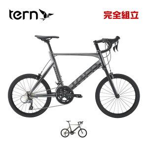TERN ^[ 2025Nf Surge T[W J[ 20C`(451) 2x8s a ~jx