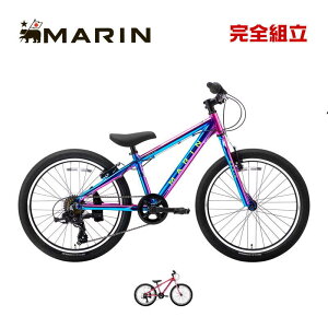 MARIN } 2025Nf DONKY JR 22 6s LTD hL[WjA22 6S J[ LbYoCN 22C` qp]