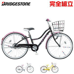 BRIDGESTONE uaXg Wild Berry Chx[ 20C` VO qp]