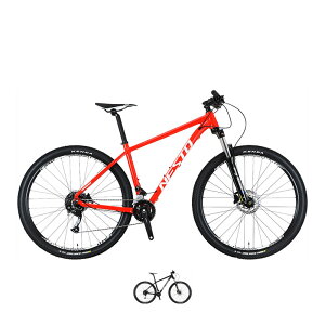 NESTO �l�X�g 2026�N���f�� TRAIZE �g���C�Y 2x9s 29�h MTB �}�E���e���o�C�N