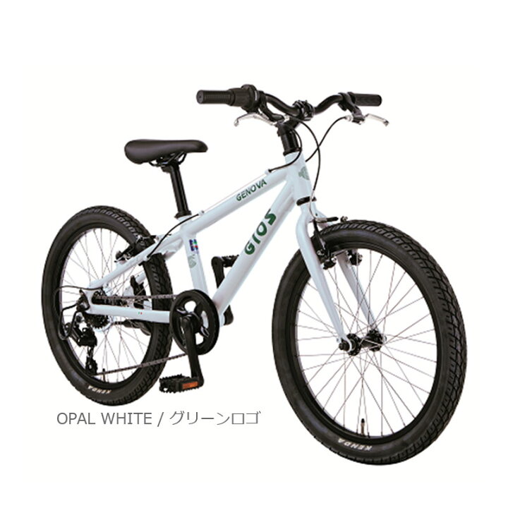 楽天市場】GIOS ジオス 2026年モデル GENOVA 22 ジェノア22 1x7s 22 