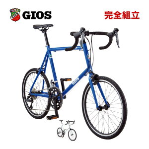GIOS �W�I�X 2026�N���f�� ZIPSTAR �W�b�v�X�^�[ 2x8s ���a�� ���[�h �~�j�x��