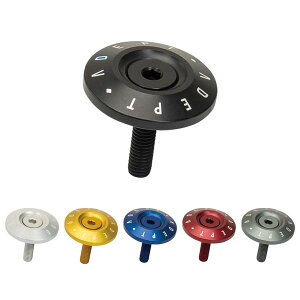 ADEPT Afvg e[p[h gbvLbvybike-kingz