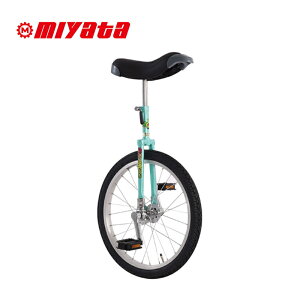 MIYATA �~���^ FLAMINGO �t���~���S 24�C���` ��֎�