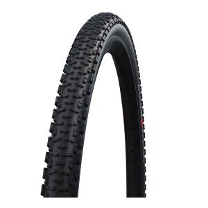 SCHWALBE Vx W[ EgoCg Evolution 700x40C(40-622) Pu[r[h ubN OxEVNNX ^C