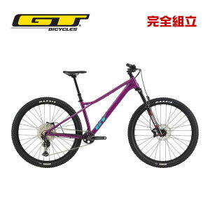 GT W[eB[ 2025Nf ZASKAR LT PRO UXJ[ LT AC v 29 MTB }EeoCN