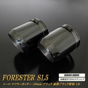 tHX^[ SL5 [ }t[Jb^[ 100mm ubN ϔMubNh 2{  XbVJbg xSUS304XeX Xo SUBARU Forester K\ԗp