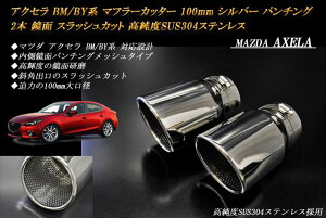 ANZ BM/BYn }t[Jb^[ 100mm Vo[ p`ObV 2{ }c_  XbVJbg xSUS304XeX MAZDA AXELA mB09Sn