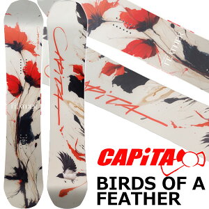 26-27 CAPITA/�L���s�^ BIRDS OF A FEATHER �o�[�h�I�u�A�t�F�U�[ ���f�B�[�X �X�m�[�{�[�h �I�[�����E���h �� 2027 �\�񏤕i