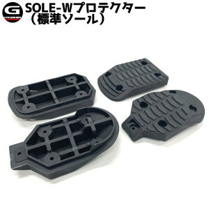 G-STYLE / W[X^C SOLE-WveN^[ \[Zbg Ayu[cpp[c Xm[{[h [֑Ή