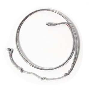 F-ONE Gt n[lXC ECOtHCp [֑Ή