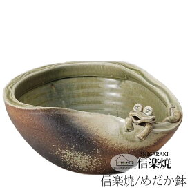 楽天市場 メダカ 水槽 おしゃれ インテリア 寝具 収納 の通販
