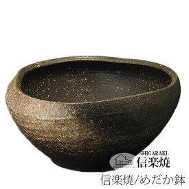 楽天市場 メダカ 水槽 おしゃれ インテリア 寝具 収納 の通販