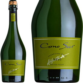 コノスル スパークリングワイン ブリュット / Cono Sur Sparkling Wine Brut [NV][CL][白泡]