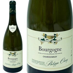 �t�B���b�v �V�����B 2020 �u���S�[�j�� �u���� / Domaine Philippe Chavy Bourgogne Blanc [2020][��][FR]