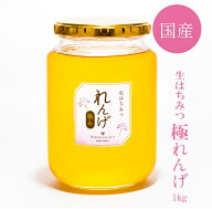【生はちみつ 極れんげ1kg～500gボトル】2026年新蜜！はちみつ 国産 非加熱 生はちみつ ギフト ふくみつ …