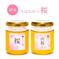 【生はちみつ 桜・山桜150g～1kg】2026年新蜜 桜・山桜選択可 はちみつ 国産 非加熱 生はちみつ ギフト …