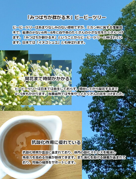 楽天市場】【生はちみつ ビービーツリー】2024年産 ビービーツリー 各 