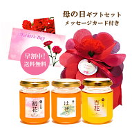 ＼只今早割中！／【母の日ギフト 送料無料】国産 150g3種 母の日 はちみつ 非加熱 はちみつギフト 生はち…