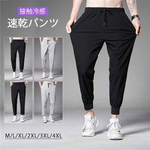 ڐG⊴ pc Y Xgb` ڐG⊴ jp JWA N[   pc  j̎q WjA Y{ n 傫TCY y Y{ Opc W[W  