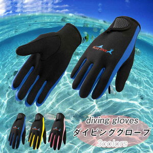 P5{ _CrOO[u Y fB[X lIv p EFbgX[c ۉ T[tBO[u ~ } Ng }O[u xg ~ 