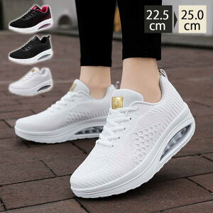 Xj[J[ fB[X JWA EH[LOV[Y r V[Y 5cm ₷ ^C p Xb| LoX jOV[Y y ʋC ϖ V[Y X