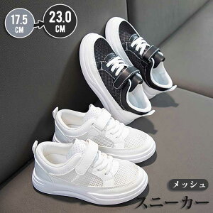 ėp Xj[J[ LbY bV V[Y q C ^C ʋCQ X|[cV[Y j̎q ̎q X|[c y _ ~ ʊw JWAV[Y xr[V[Y }WbN