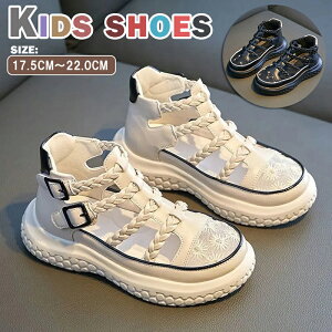 T_ q V[Y ̎q LbY Xj[J[ X|[cT_  }WbNe[v V[Y LbY T_ ~  q C K[Y ̎q C Pl bV 