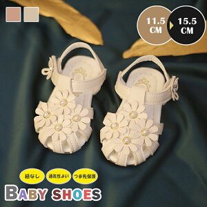 xr[ T_  ̎q T_ qC LbY  V[Y Ԃ c C r[`T_ t T}[T_ qǂ ₷ ₷ 1 2 ܐK[h ₷ 