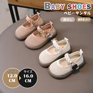 xr[ T_ ̎q tH[}V[Y  qC ܐ悠 ~ߕt ₷ ۈ牀 ct   w \