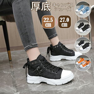 LoX V[Y fB[X Xj[J[  V[Y Y JWA ꂷۂ _bhXj[J[ jOV[Y y gAbv EH[LOV[Y ^C  X