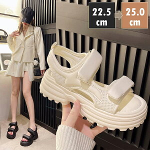 y2025NVz T_ fB[X   T_ fB[X pvX fB[X C r[`T_  ₷ Ȃ  ʋC r  ƂĂ_炩 傫TCY 