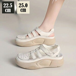 T_ fB[X X|[cT_  Xj[J[ T_ O T_ ̎q  V[Y ₷ ^C X|[cT_ y ^C [Jbg  Xb| 