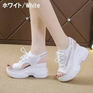 y2025NĐVzjbg҂݃I[vgDT_ fB[X Xj[J[vbgtH[ nCq[ tCjbgEFbW\[ ₷  K[[ ? X|[c 