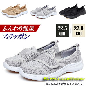 Xj[J[ Xb| fB[X V[Y ʋC  bV V[Y jOV[Y EH[LOV[Y i[XV[Y y _炩 RȂ L d 퐶 ^C 