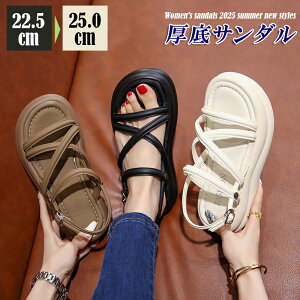 fB[X T_  X|[cT_ Xgbvt y r JWA RtH[g ₷ ɂ AEghA r[` 22.5`25cm  C v[