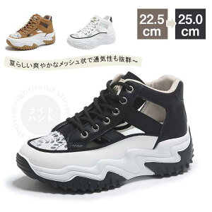 X|[cT_ fB[X  Xj[J[ ėp ʋC JWA  ؍ WjA O rW[ T_ GXjbN T_ ₷ tbg Ȃ ~ 