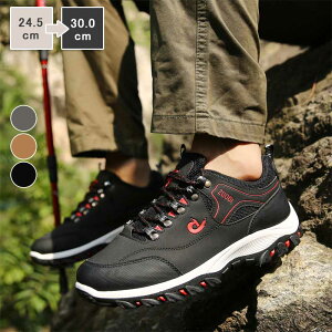 Xj[J[ Y fB[X ^C oRC YV[Y fB[X V[Y jOV[Y ₷ ɂ ϖ V[Y  O s ʋ ʊw L 24.5~30cm 