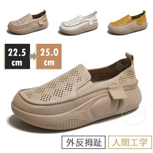 V[Y fB[X Od EhgD胍[t@[ 4cmq[ yʐ݌v ~ ʋCK L  fB[XT_  y JWA fB[X RtH