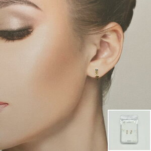 V[sAX \sAX AM[Ή ×pe[v { p fB[X Y JWA ig p[eB[ Mtg v[g a ̓