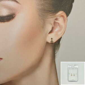 V[sAX \sAX AM[Ή ×pe[v { p fB[X Y JWA ig p[eB[ Mtg v[g a ̓