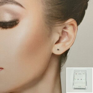 V[sAX \sAX AM[Ή ×pe[v { p fB[X Y JWA ig p[eB[ Mtg v[g a ̓