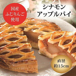 AbvpC ViAbvpC(Ⓚ) [KCze  ґ J Ⓚ  v[g XC[c Ԃ a bZ[WJ[h 蕨 j j   oY 