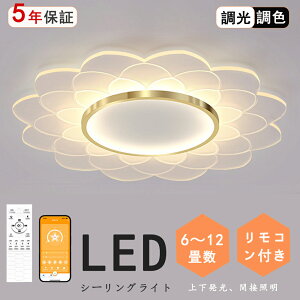 V[OCg k LED LED F ԐڏƖ Rt LEDV[OCg 6 8 10 12 ㉺  ڂɗD Q rO a xbh[ ȃGl q