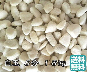 }g   18kg 5(14`20mm) /ʐ/F//GNXeA/ۃE/|/ӏܗp/////K[fjO/K[f/