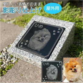 楽天市場】ペットひんやり石2枚セット桜御影石30×30cm厚み1.5cm薄くて 