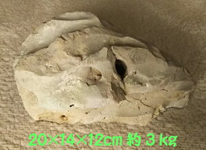 gR(3kg)20X14X12cm [Xg[ ~ ʐ R     GgX  K[fjO K[f