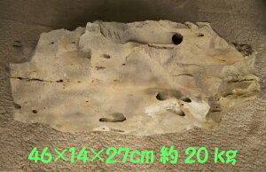 gR(20kg)46X14X27cm [Xg[ ~ ʐ R     GgX  K[fjO K[f@