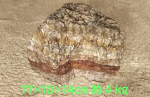 gR(4kg)17X10X14cm IjLX  CAEg CAEgXg[ R Y