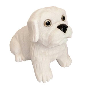  嗝 V[Y[ pO uhbO  u u CeA I[ig  x